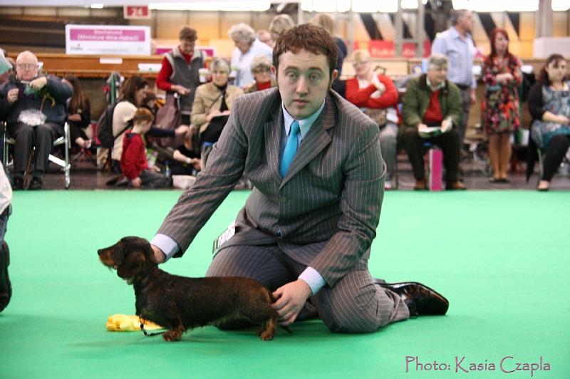 Crufts2011_2 1273.jpg